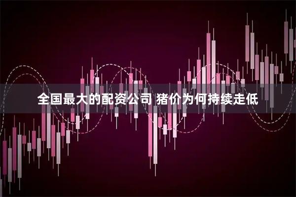 全国最大的配资公司 猪价为何持续走低